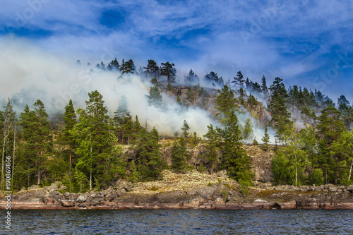 Smoke rises from the forest...