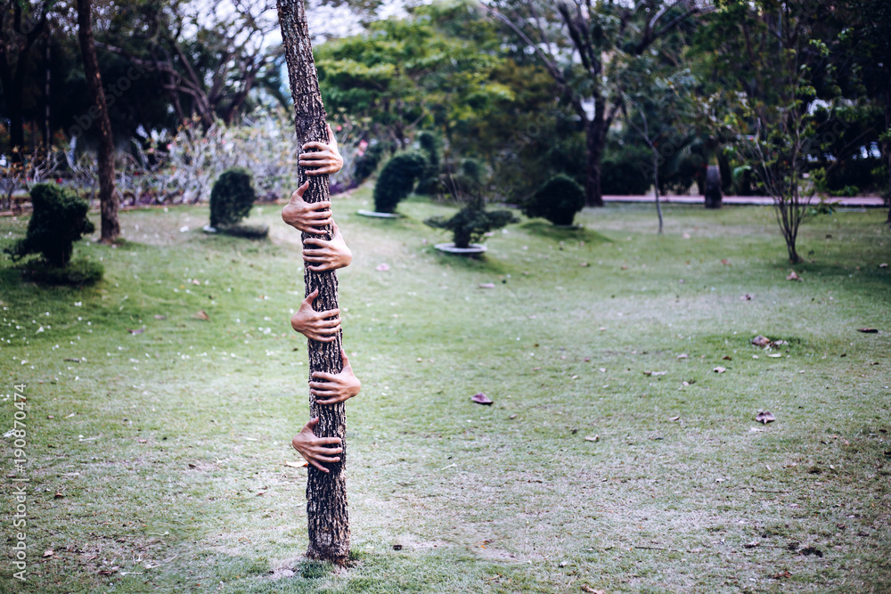 Obraz premium love tree, hugging a tree, environmental protection concept.