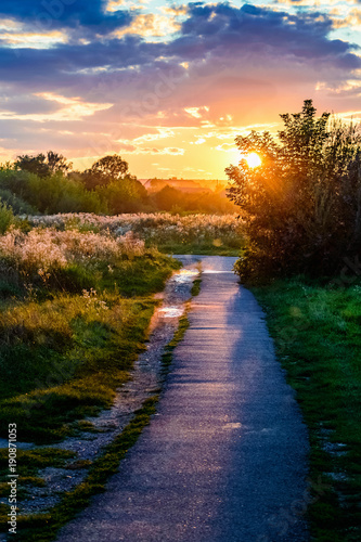Evening rural landscape. A path in the rays of the setting sun. Sunset and sunrise.