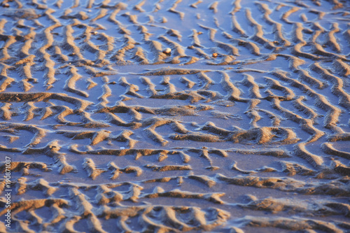 The texture of beach sand