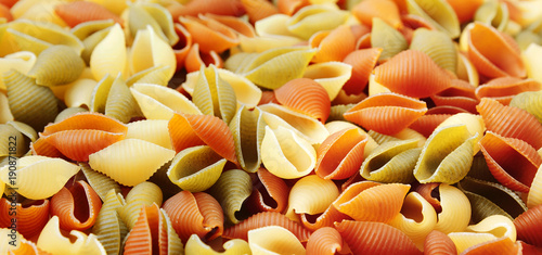 Panorama colored pasta seashells