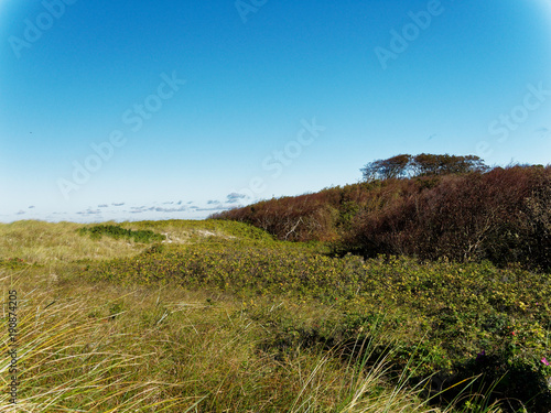 Darßer Weststrand, Nationalpark Vorpommersche Boddenlandschaft, Mecklenburg Vorpommern, Deutschland photo