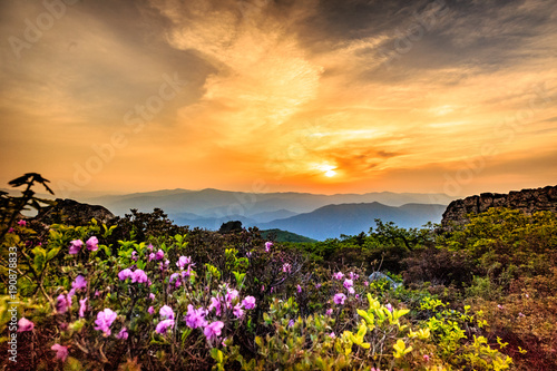 Sunset in the mountain at spring