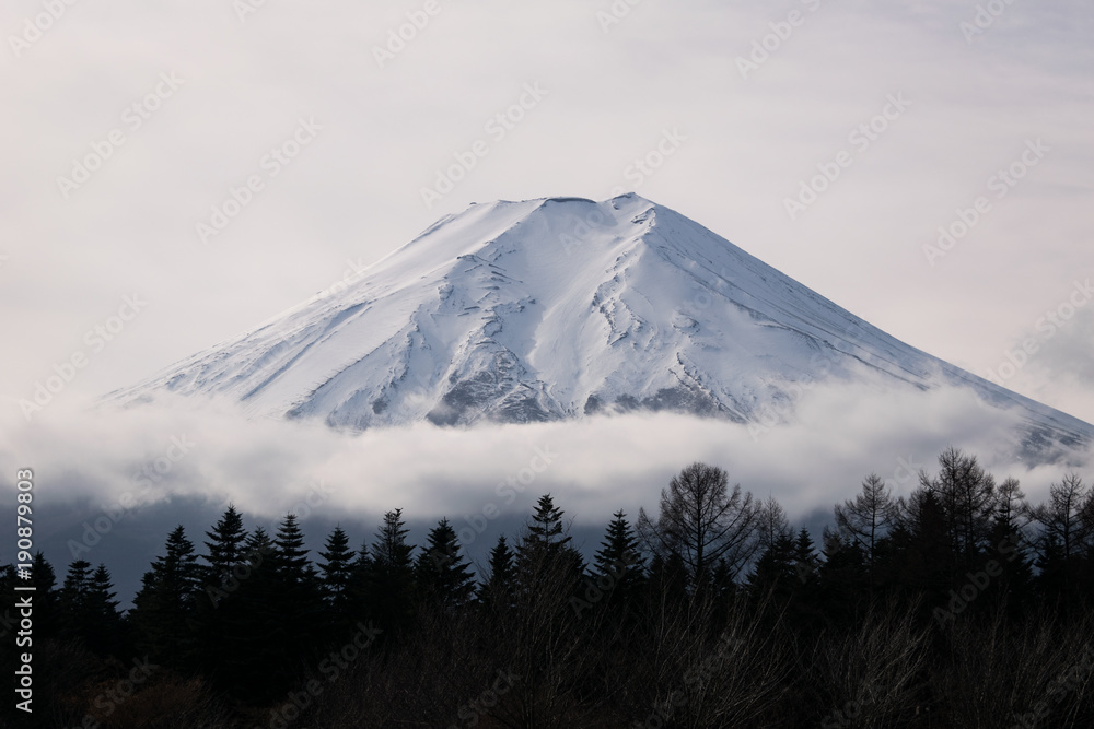 Fototapeta premium Mt. Fuji over a Forest on a Cloudy Day