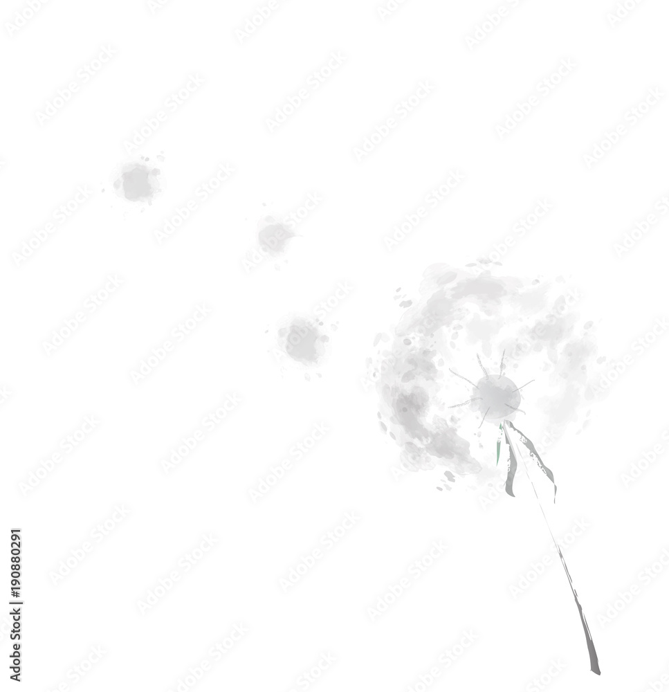 Obraz premium Kwiat trawy mniszka lekarskiego na wietrze,? Czarno-biały styl akwareli, wektor ilustracji.