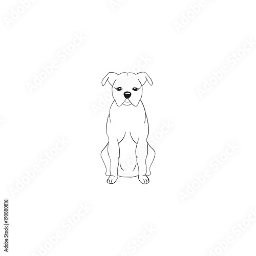 American Staffordshire Terrier cartoon dog icon