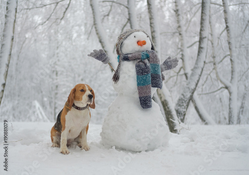Beagle dog and snowman in the woods