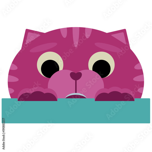 pink kitten