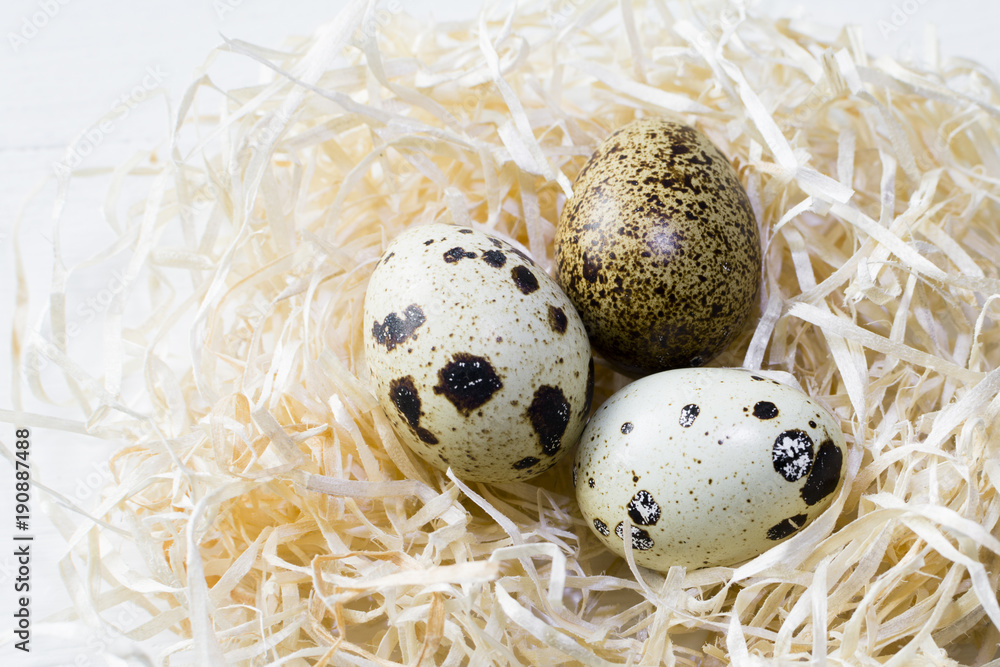 Easter greeting card Quail eggs in hay nest on white wooden background. Easter greeting card Quail eggs in hay nest on white wooden background.