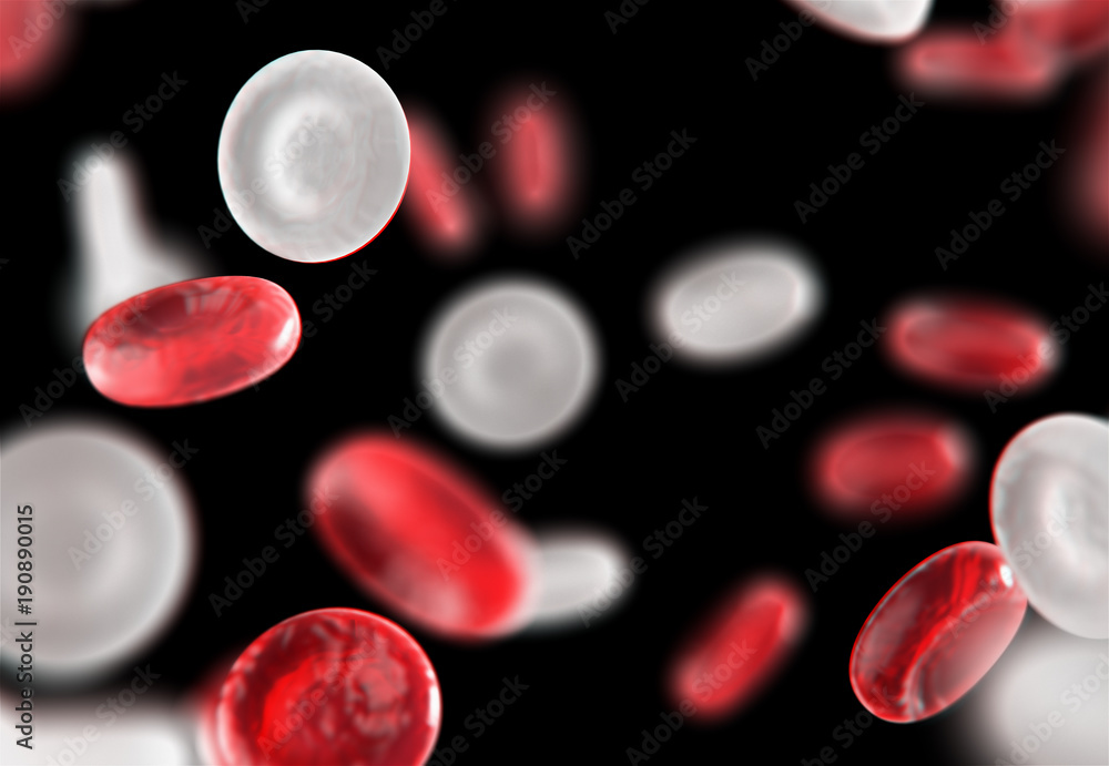 Red and white blood cells,blood circulation.