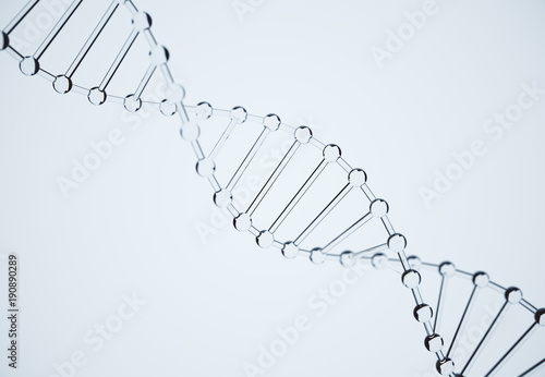 Glass DNA model,DNA structure