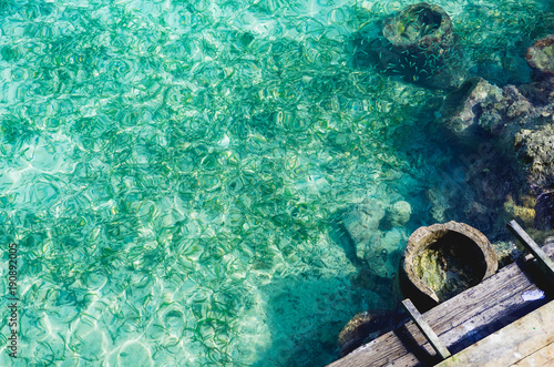 Looking into the clear ocean in Cartagena Colombia