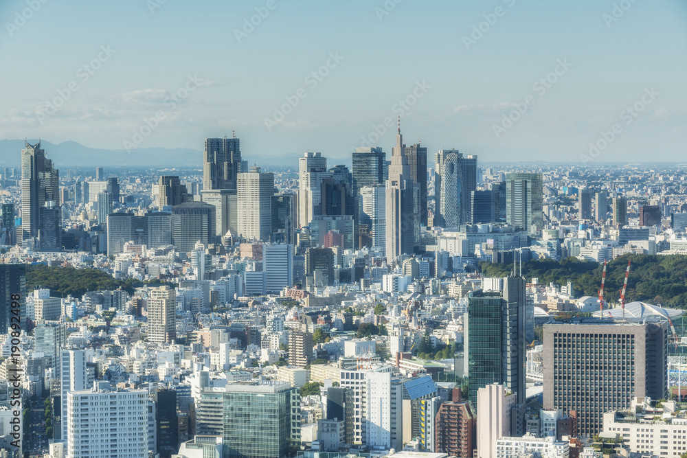 Tokyo aerial view. Japan.