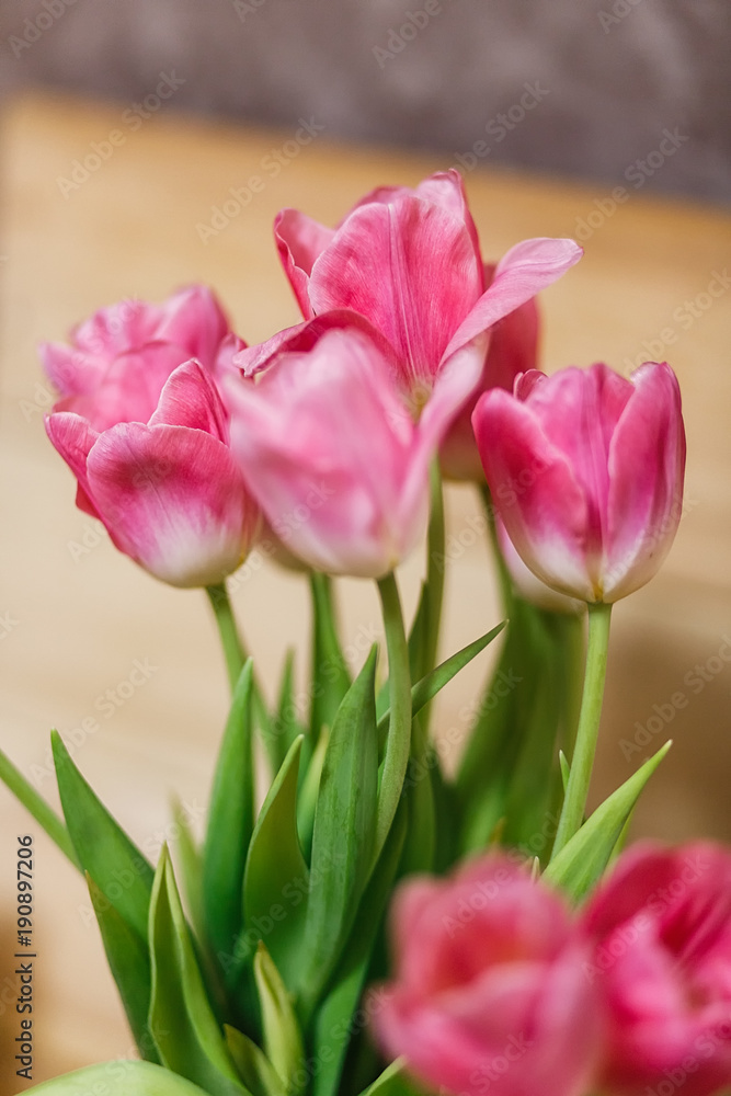 Fototapeta premium bouquet of tulips in spring