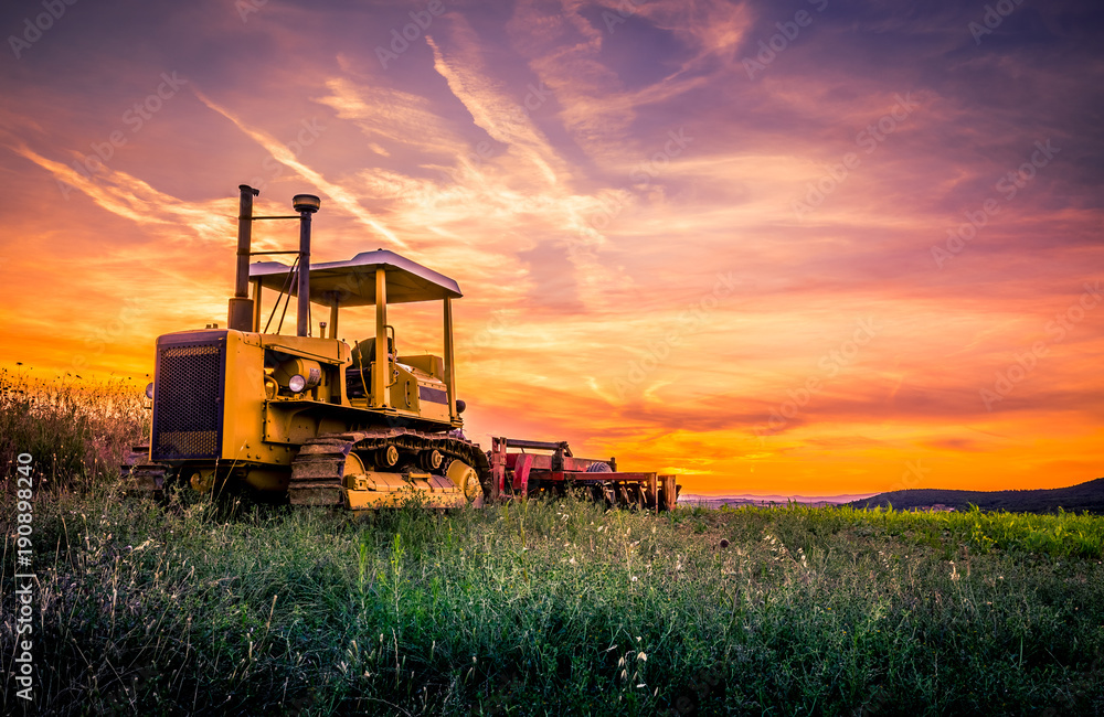 Fototapeta premium Caterpillar and amazing sunset