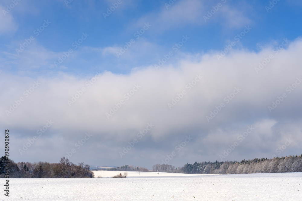 Fototapeta premium Field under white snow by forest near Kostelec nad Cernymi Lesy