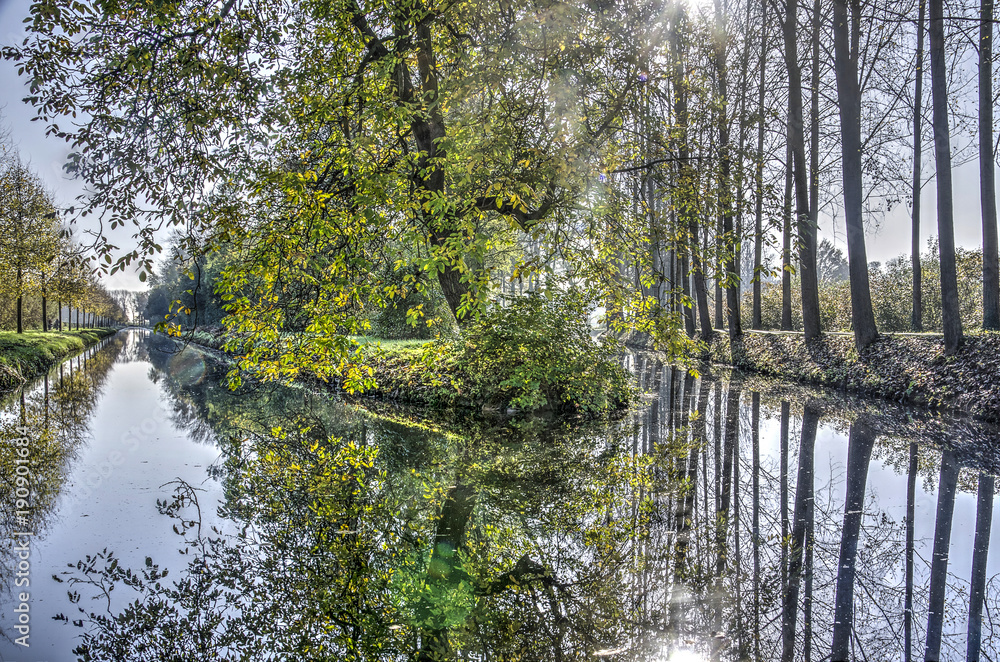 Fototapeta premium Rees reflecting in the still waters of two joining canals in autumn
