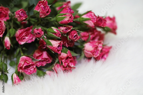 Bouquet of red roses on a white background