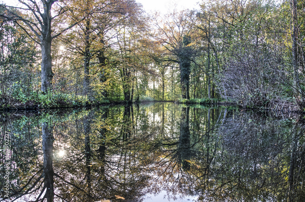 Still waters of a pond in the forest reflecting the surrounding trees in autumn