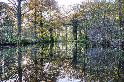 Still waters of a pond in the forest reflecting the surrounding trees in autumn
