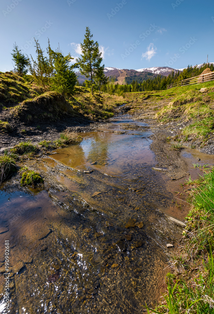 rural scenery in Ukrainian alps. beautiful mountainous landscape in springtime. wooden fence on agricultural field near the trees. brook flow down the slope rural scenery in Ukrainian alps. beautiful mountainous landscape in springtime. wooden fence on agricultural field near the trees. brook flow down the slope