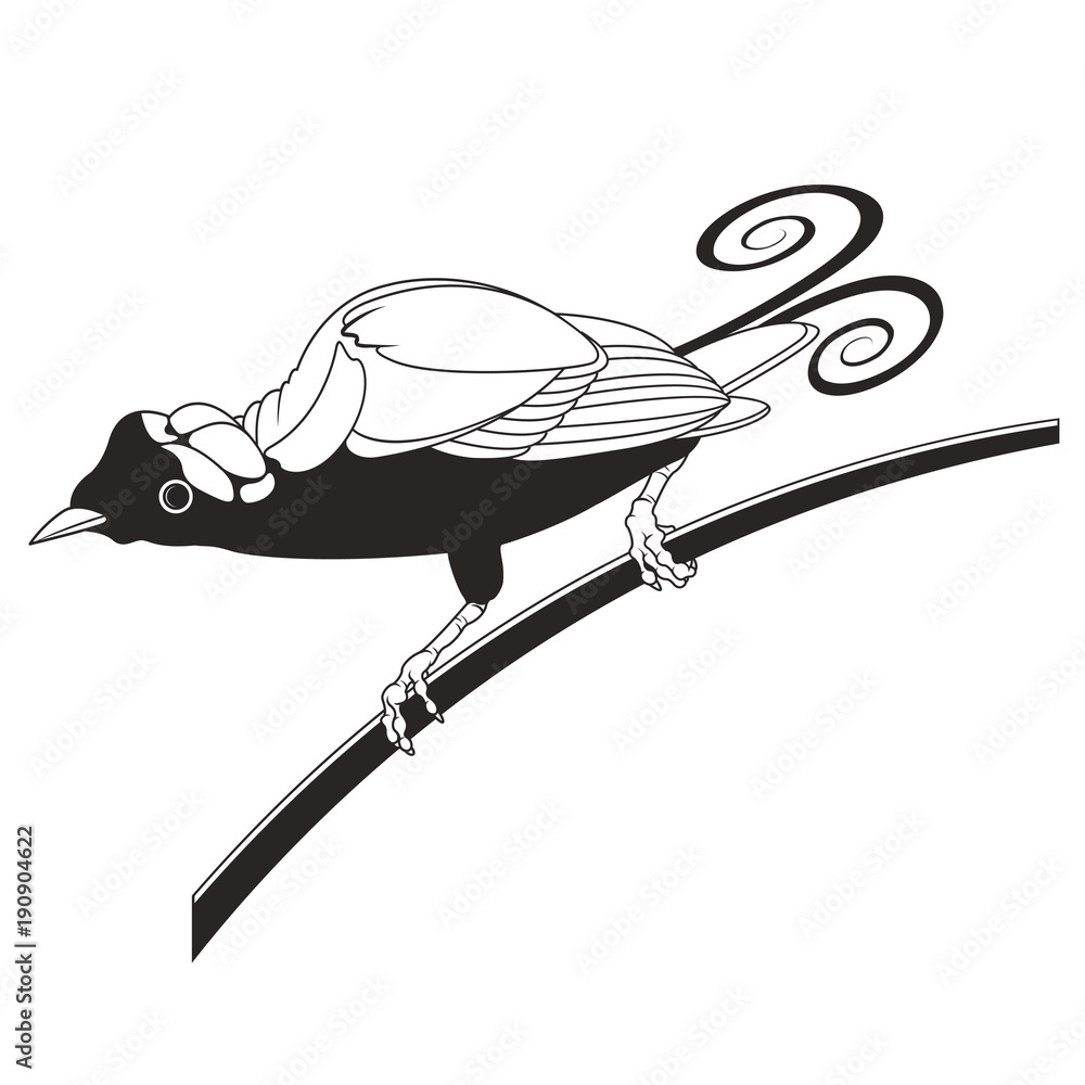 Obraz premium black outline bird on branch vector cartoon