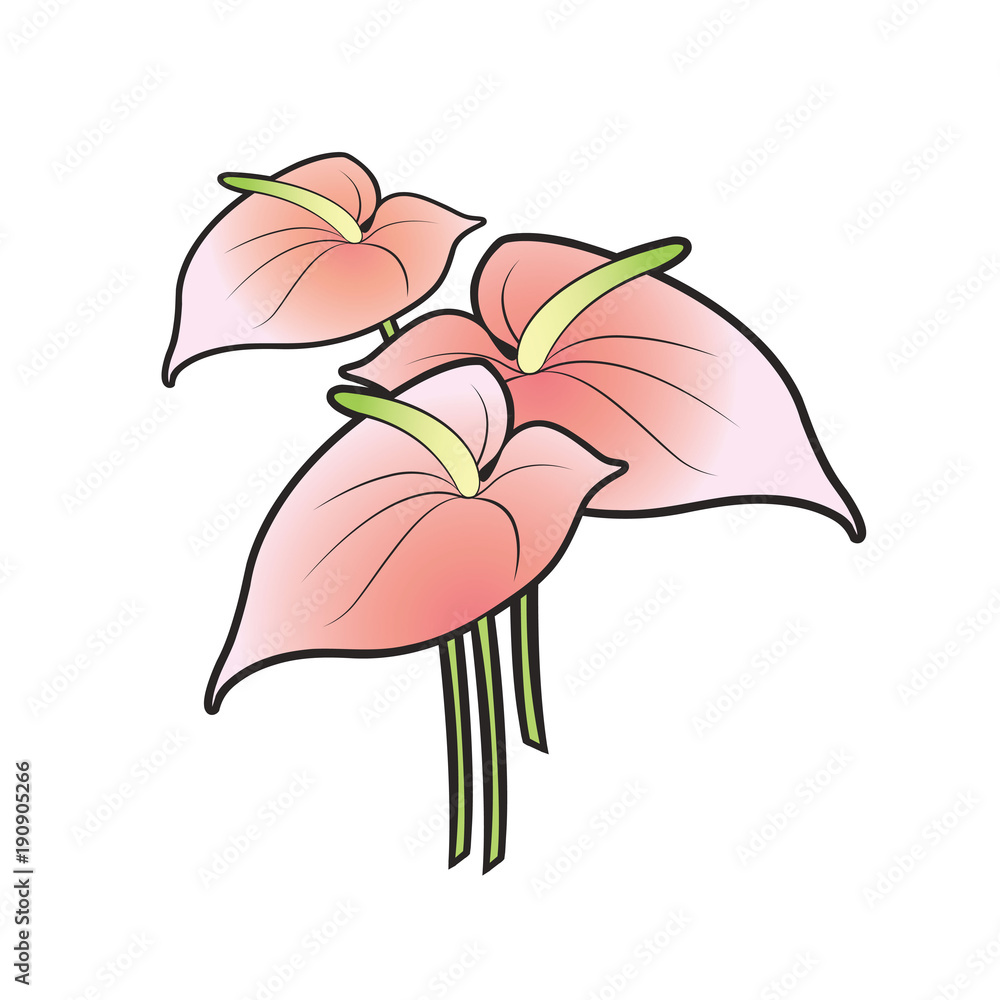 Obraz premium flamingo flower vector illustration