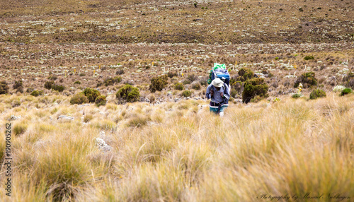 Porter with backpack during Mt Kenya Trekking (Kenya/ Africa)