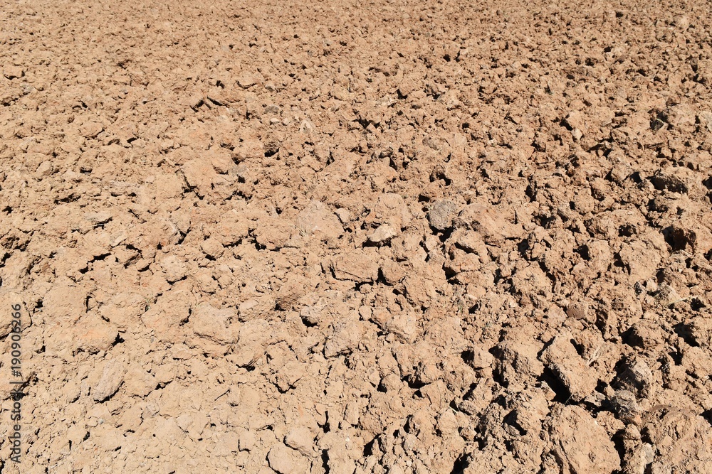 soil lump in rice field before plant rice soil lump in rice field before plant rice