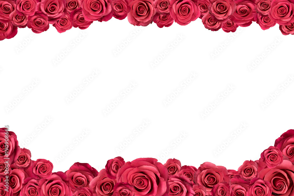 Irregular frame made of pink roses. Isolated on white.