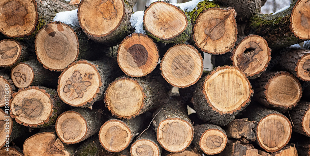 Dry chopped firewood logs in a pile
Dry chopped firewood logs in a pile