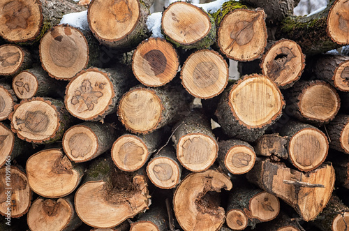 Dry chopped firewood logs i...