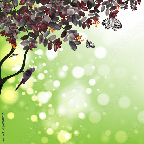  summer tropical on nature floral spring  collection ,vector illustration eps 10