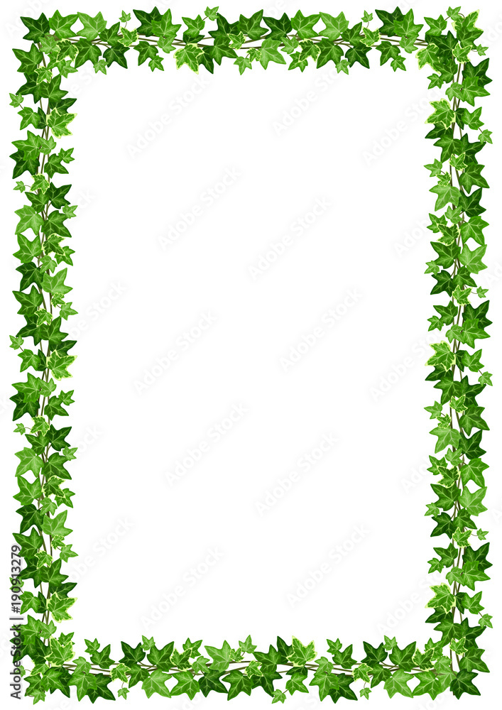 Vector background frame with green ivy leaves on a white background.