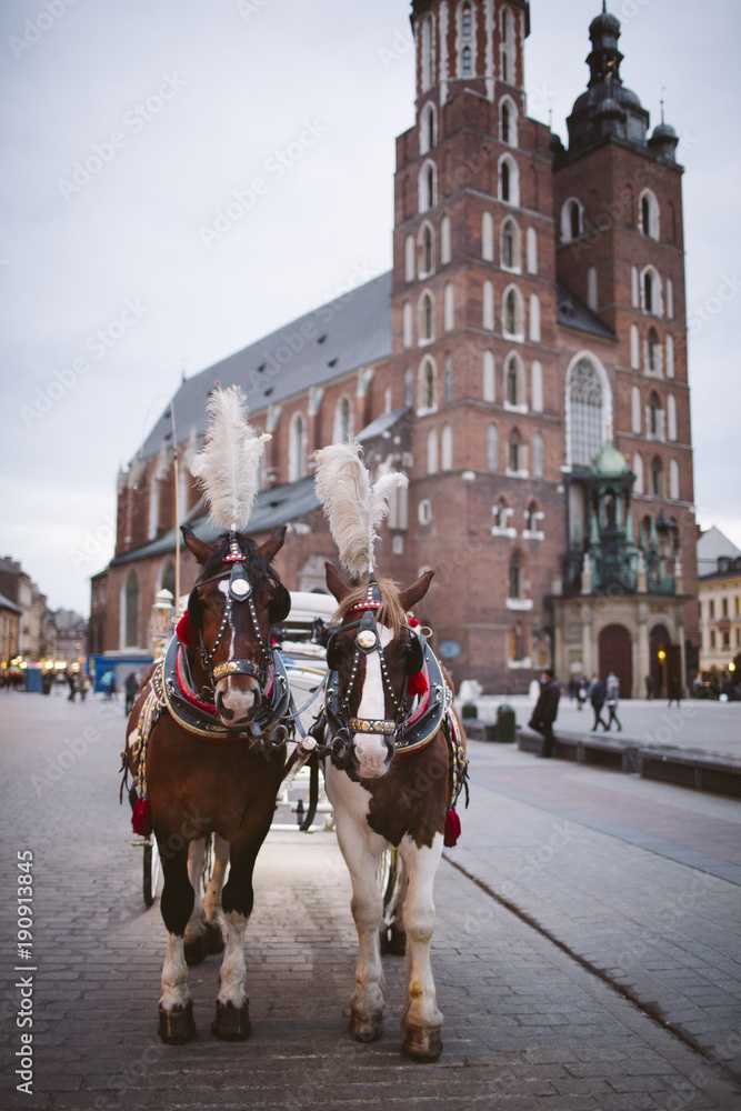 Horse carriages at main square in Krakow, Poland. Horse carriages at main square in Krakow, Poland.