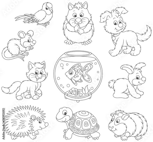 Set of pets including a cat...