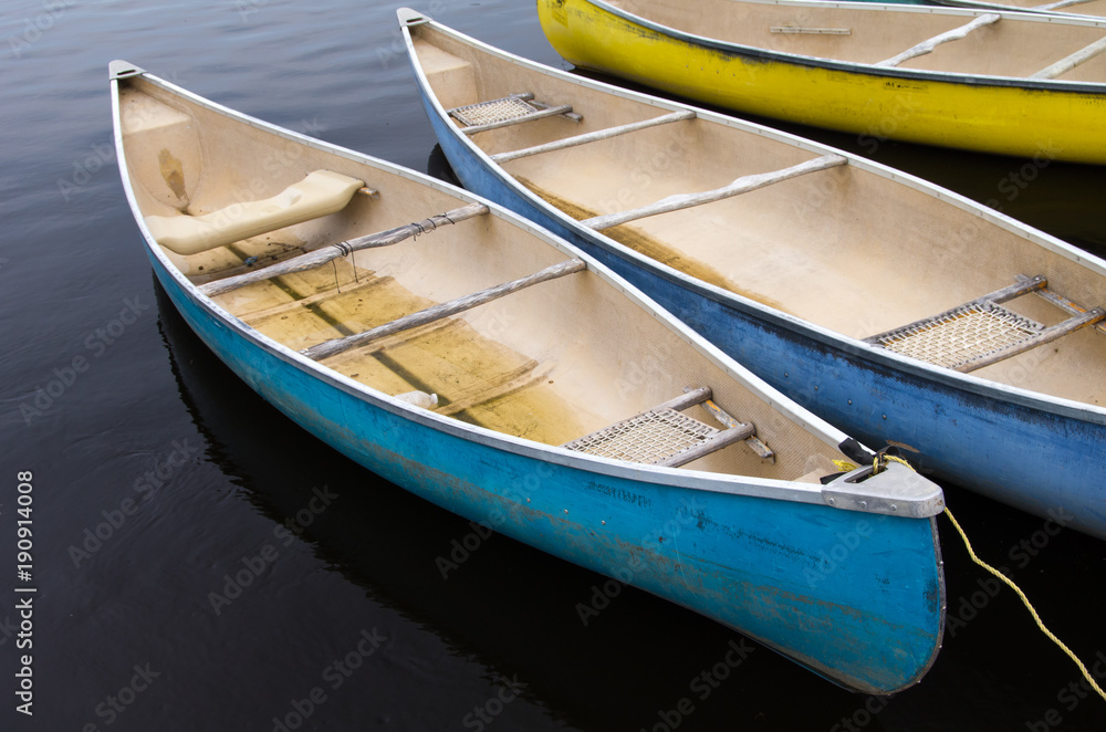 Row of Canoes Moored 