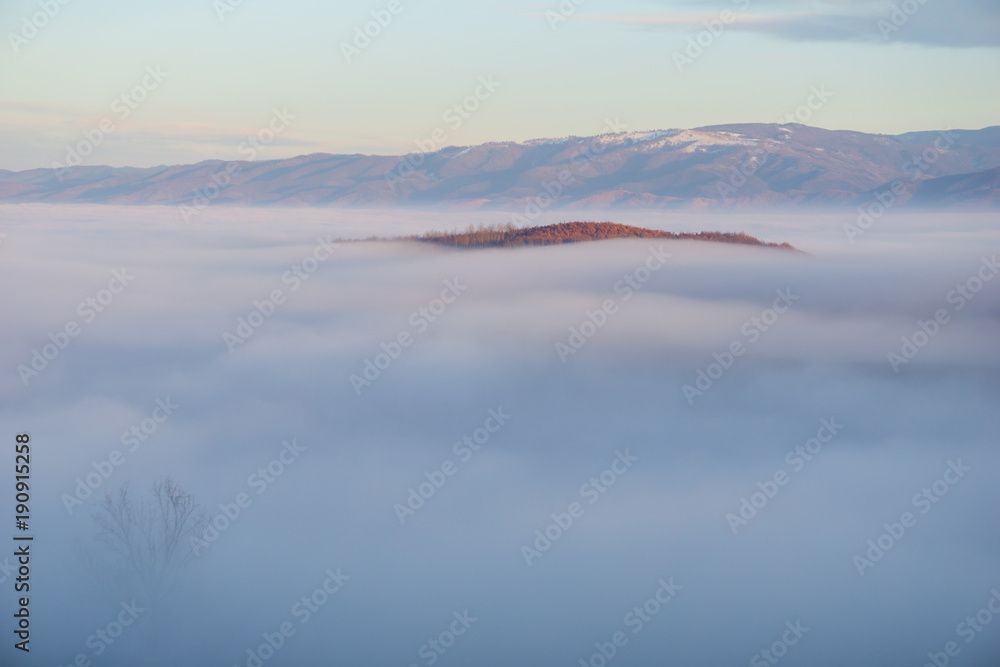 A small hilltop rising up from a sea of fog