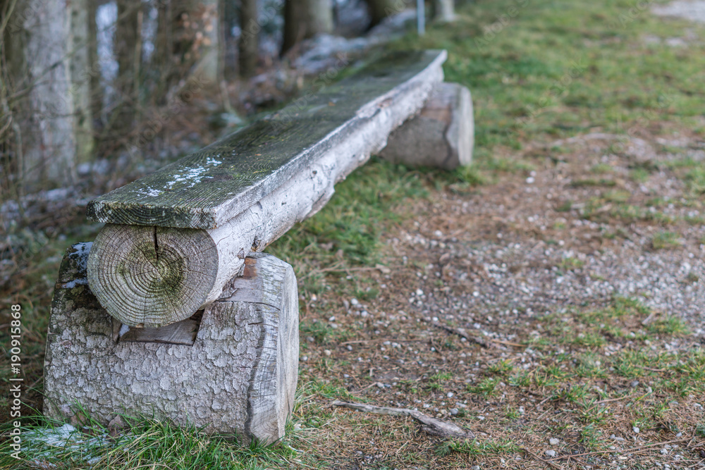 Obraz premium Holzbank am Waldrand