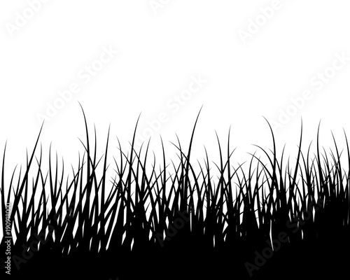 Grass silhouette vector illustration 