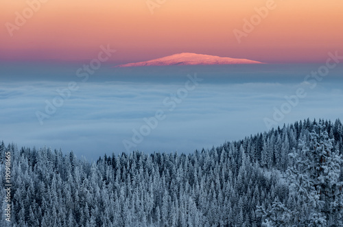 Winter sunrise mountain panorama - Babia Gora over clouds