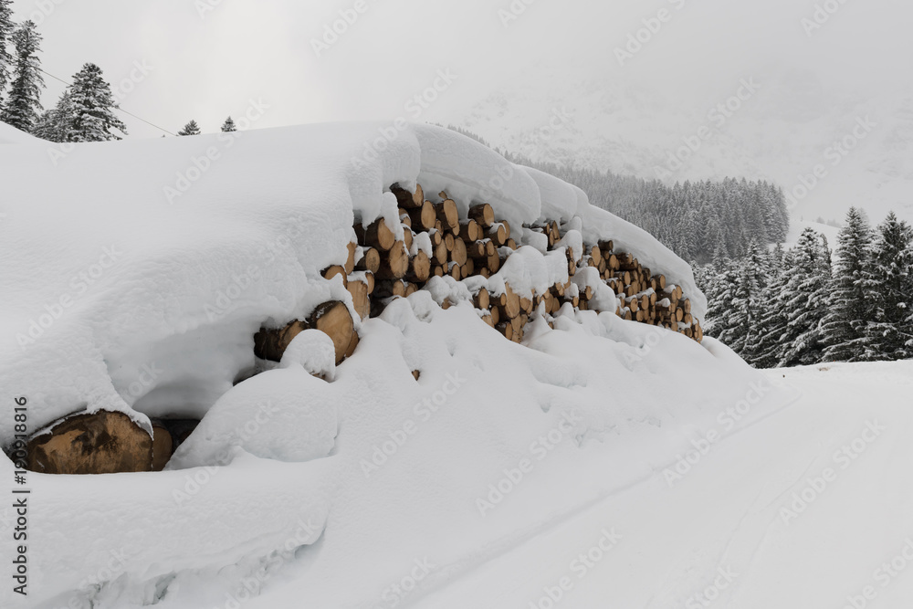 snowy wood pile