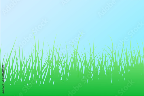 Fresh grass vector illustration 