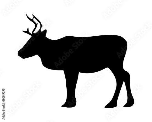 reindeer pictogram vector illustration photo