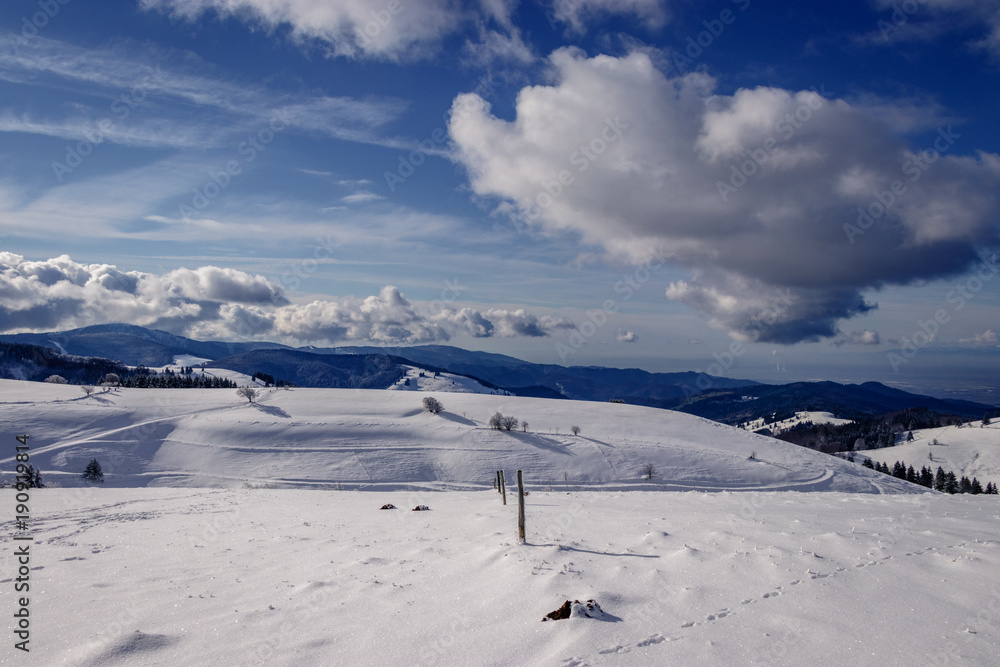 Looking down the Rhine valley from a place called 