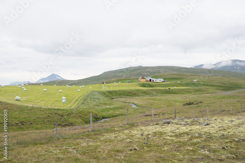 Berg-Landschaft in Nord-Island photo