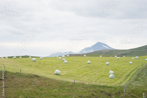 Berg-Landschaft in Nord-Island