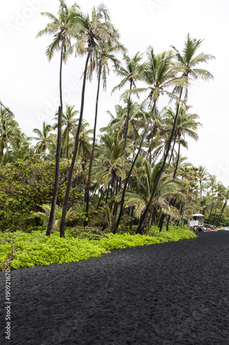 Punaluu black sand beach, Hawaii photo