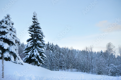 White winter landscape.