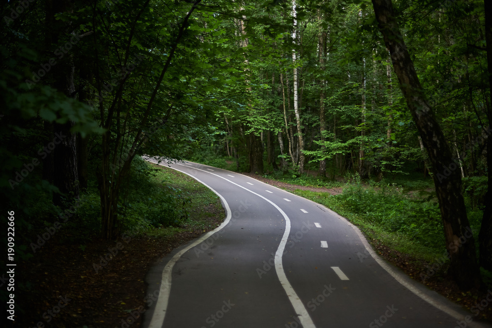 Empty Footpath with a Bike Path in the Green Forest. Empty Footpath with a Bike Path in the Green Forest.